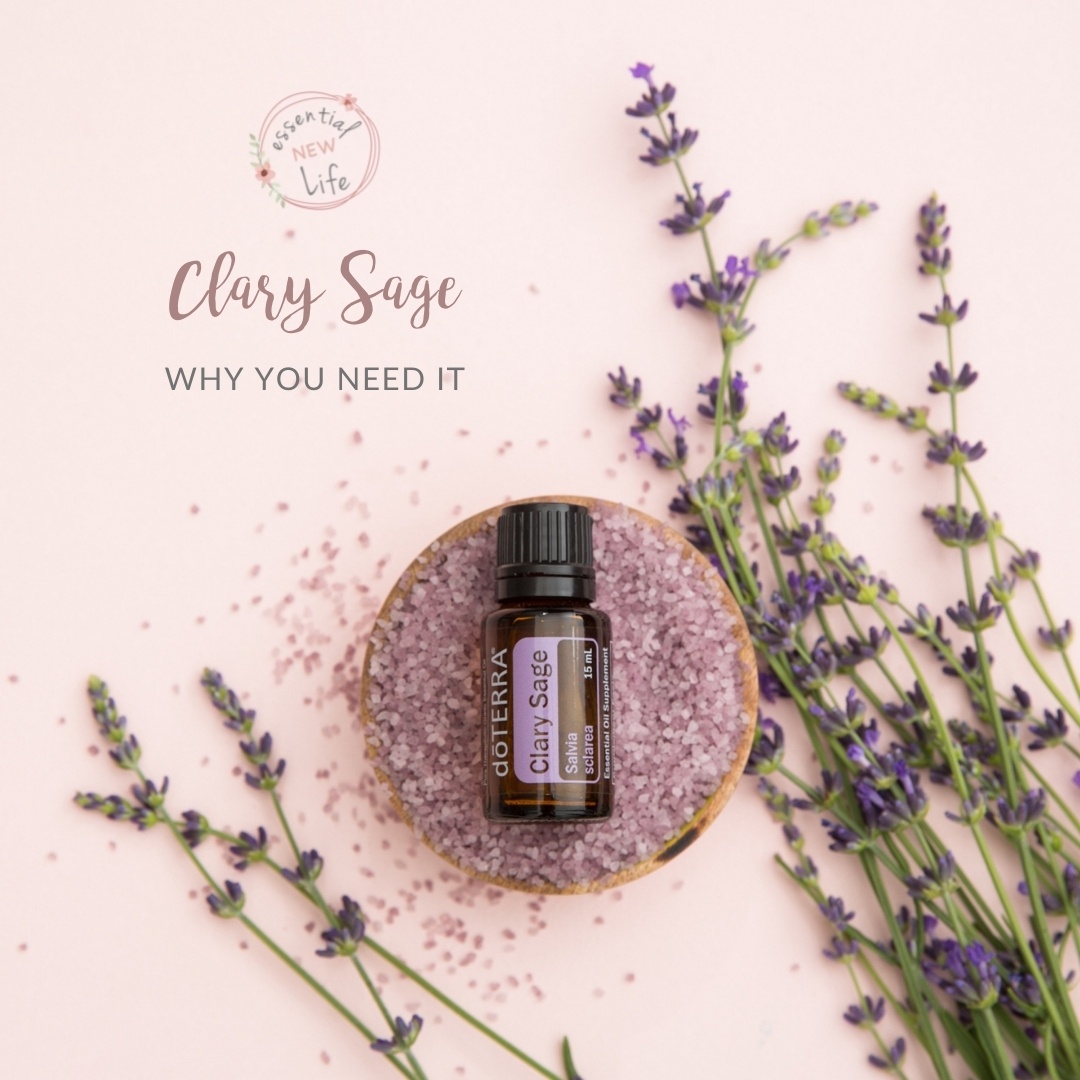 Clary Sage - Why you need it - Essential New Life