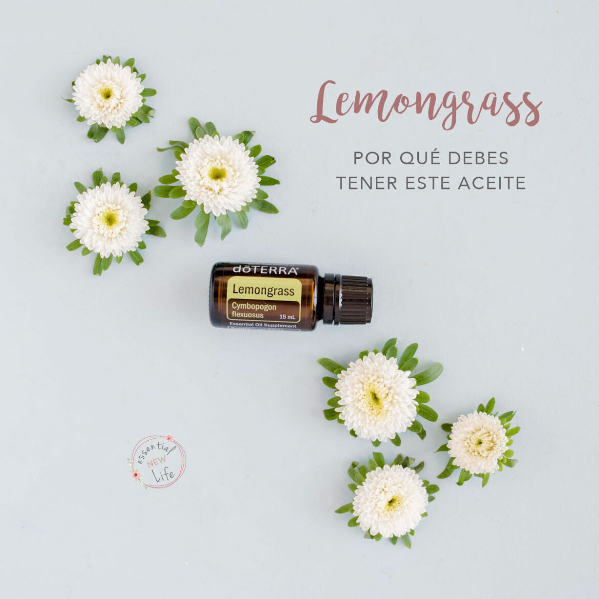 Lemongrass Por Qué Debes Tener Este Aceite Essential New Life En Enpañol 3143