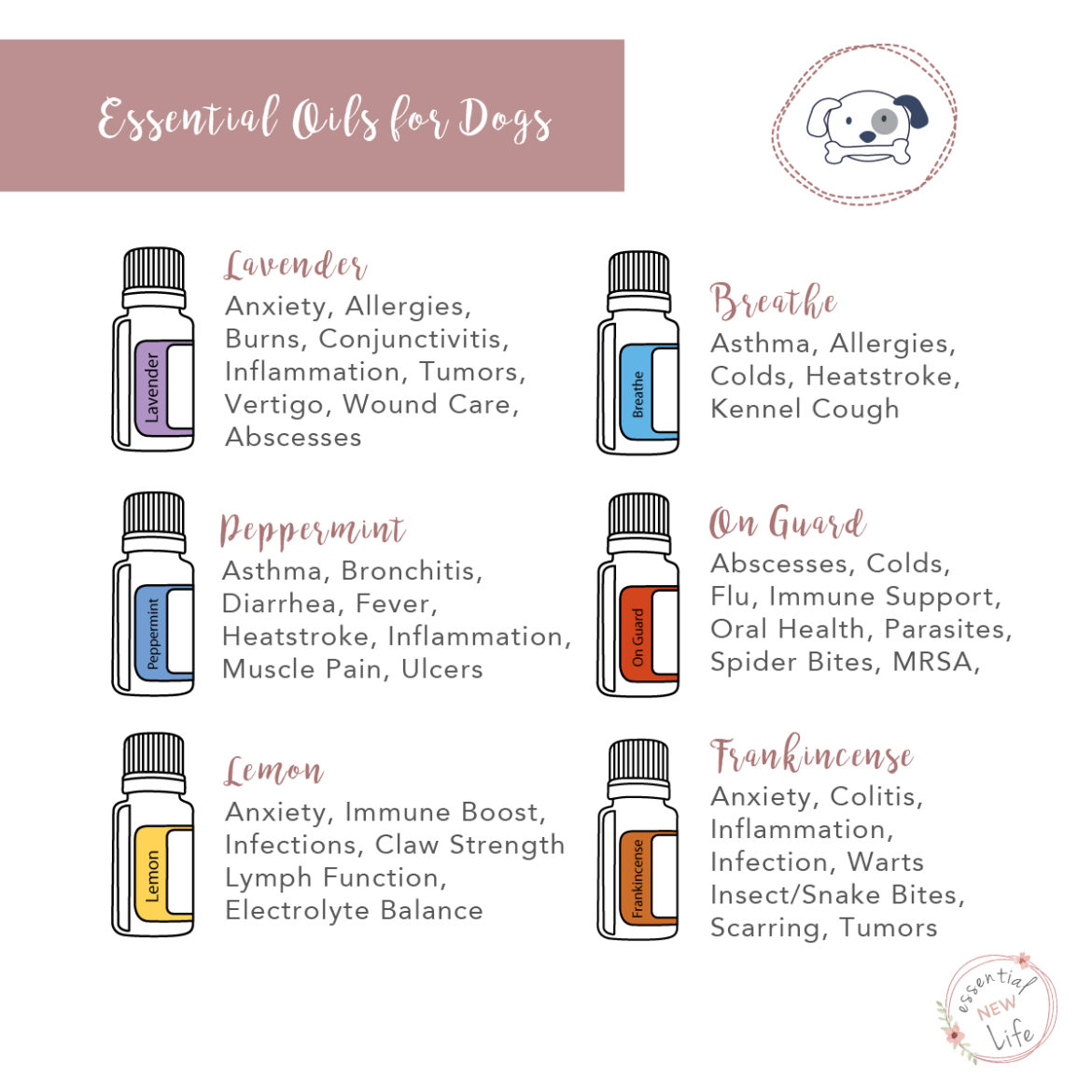 Essential Oils for Dogs Essential New Life