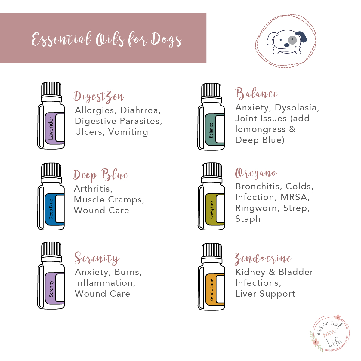 Essential New Life | Essential Oils for Dogs